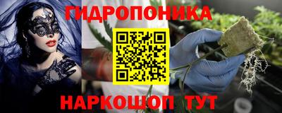 крисы Бугуруслан