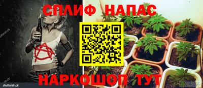 каннабис Бузулук