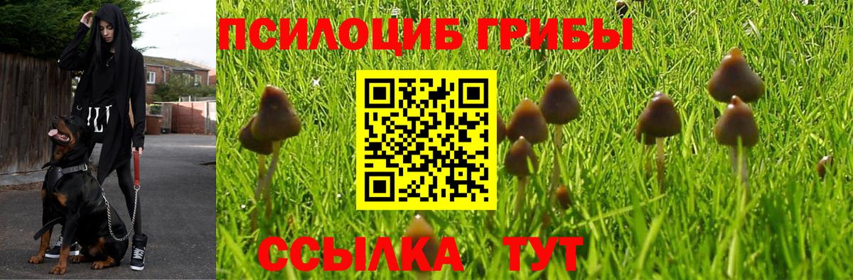 Галлюциногенные грибы MAGIC MUSHROOMS Сосновый Бор